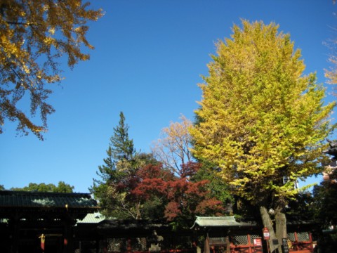 c0226353_1642165.jpg