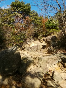 金鳥山・保久良神社_a0061057_1123126.jpg