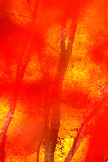 a0248459_16080444.jpg