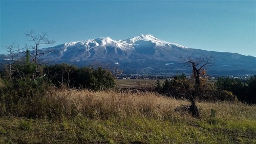 b0277159_10112155.jpg