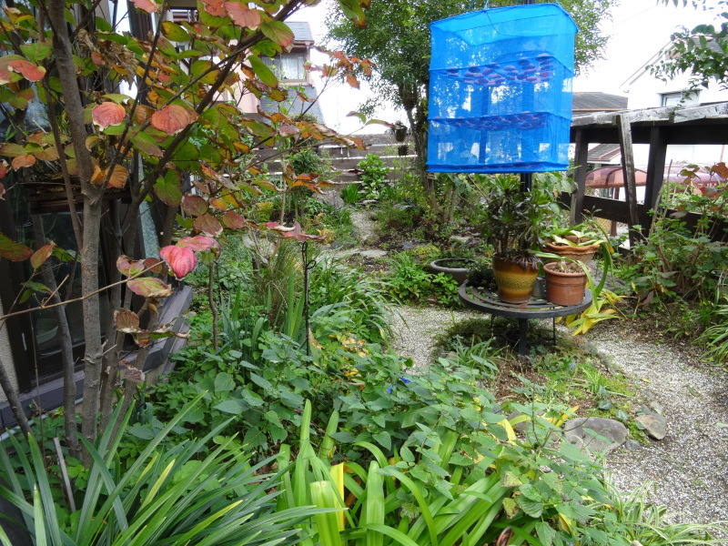 c0108460_17290833.jpg