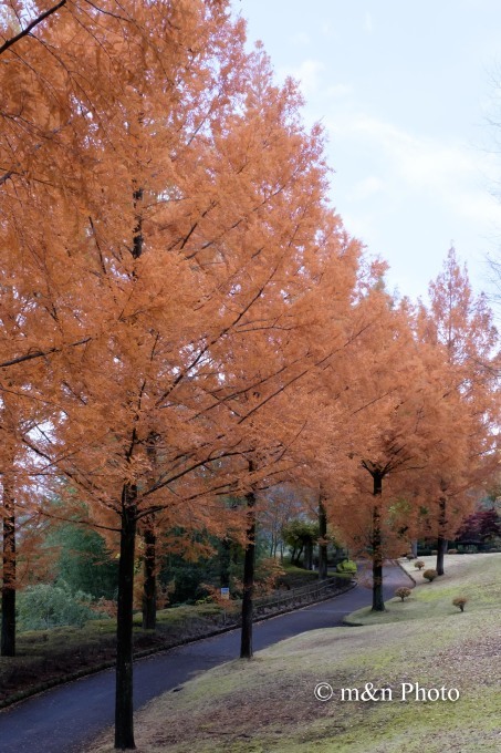 e0321360_00031900.jpg