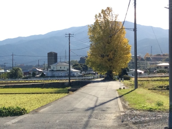 e0126861_18551917.jpeg