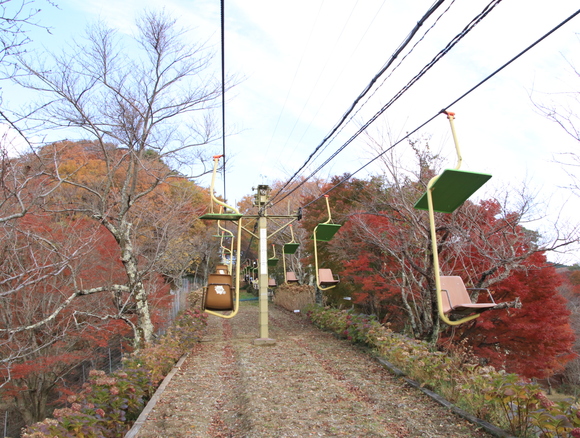 のせでん　能勢電車で紅葉狩り　２０１７年_d0202264_4172868.jpg