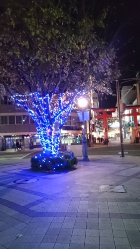 f0256164_11082163.jpg