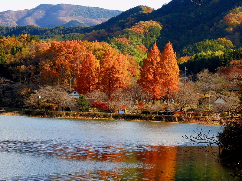 c0305565_17453570.jpg