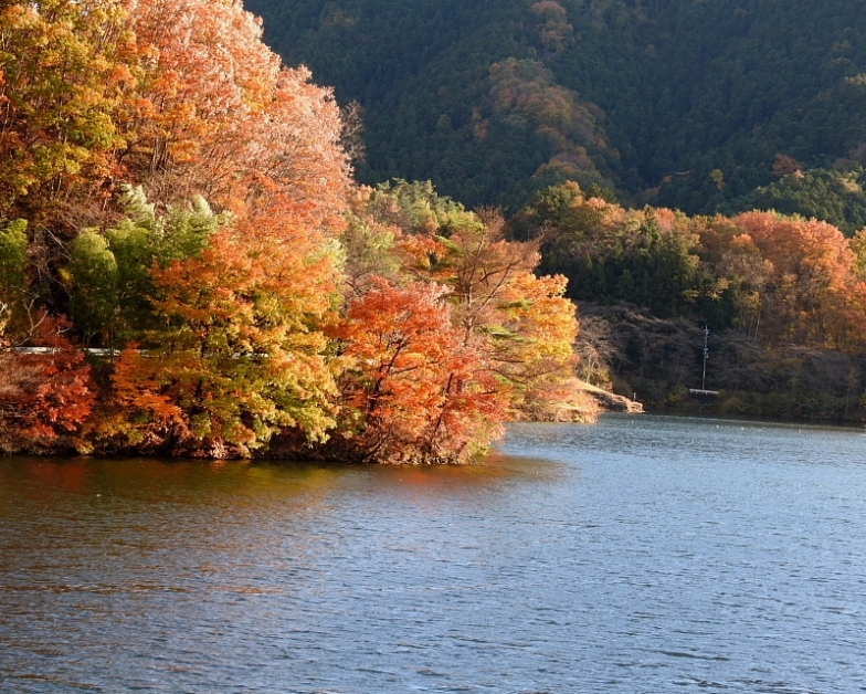 c0305565_17462844.jpg