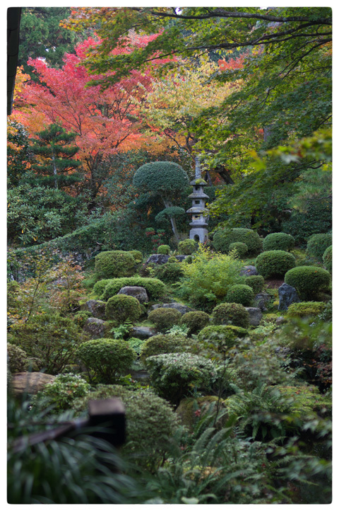 三千院 2008_e0245466_20525638.jpg