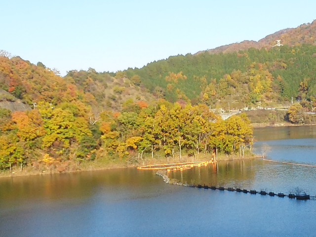 f0061067_18553090.jpg