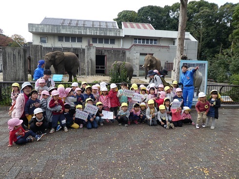サツマイモのプレゼント大作戦2017 幼稚園・保育所編_e0272869_16343170.jpg