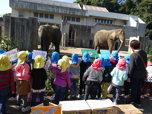 サツマイモのプレゼント大作戦2017 幼稚園・保育所編_e0272869_16375630.jpg