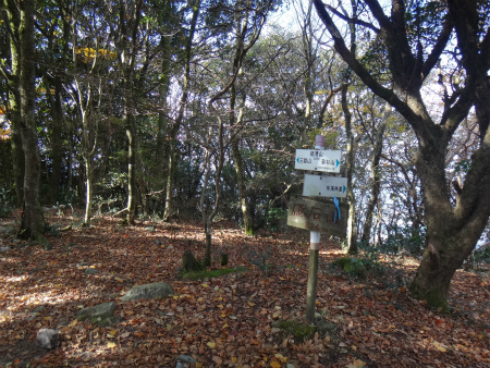 d0182075_00535201.jpg