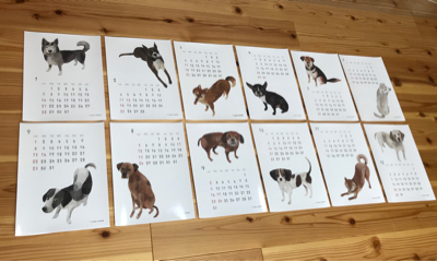 犬のイラストカレンダーを作りました！_a0138978_16272090.jpg
