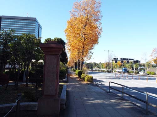 f0211178_08234592.jpg