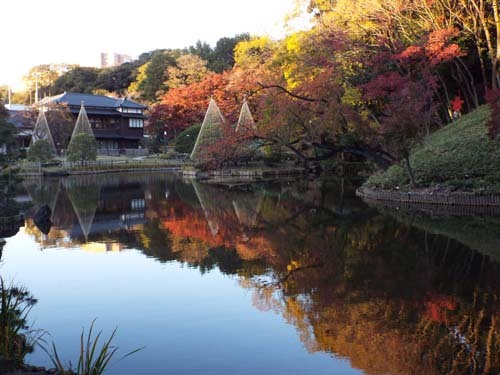 細川家のお宝蔵・永青文庫｢長谷川等伯｣展まで見たこと_f0211178_08285109.jpg