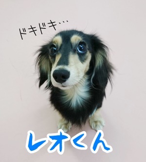 今日も楽しく!_f0357682_15264487.jpg