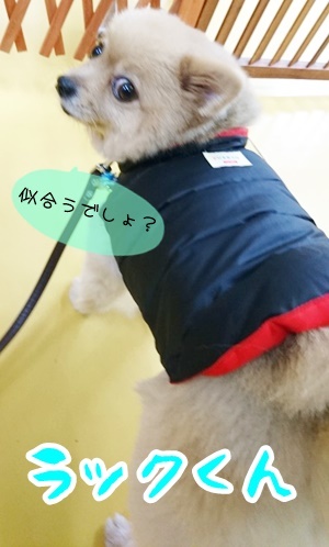 今日も楽しく!_f0357682_15264801.jpg