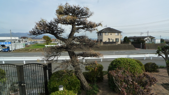 c0212083_16425676.jpg