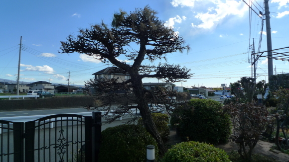 c0212083_16431174.jpg