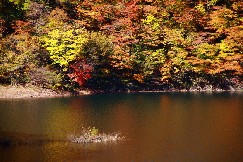 e0165983_10313633.jpg