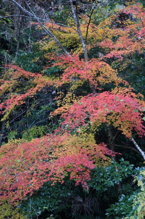 c0358784_18413349.jpg