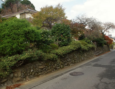 b0123486_17060656.jpg