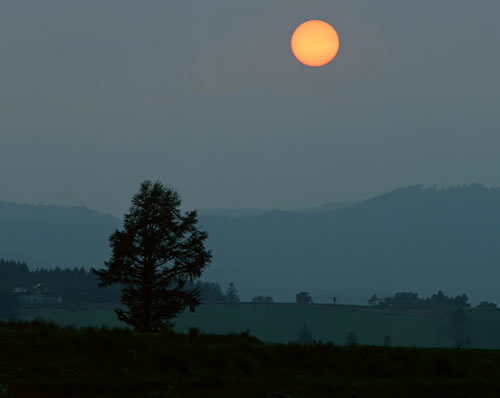 b0123486_17430820.jpg