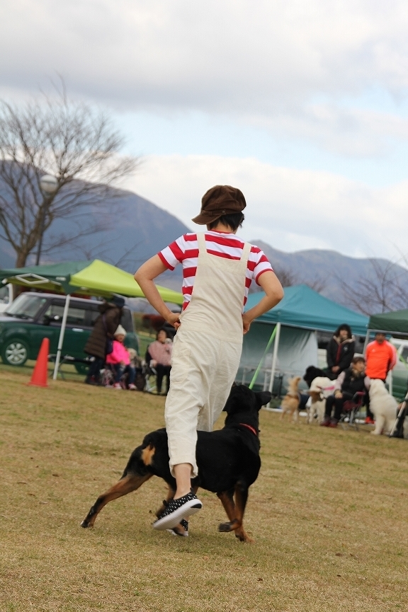 犬祭り準備♪＆秋のデカワンミーティング♪_b0135889_00054465.jpg