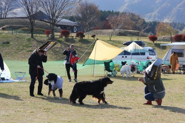 犬祭り準備♪＆秋のデカワンミーティング♪_b0135889_00092705.jpg