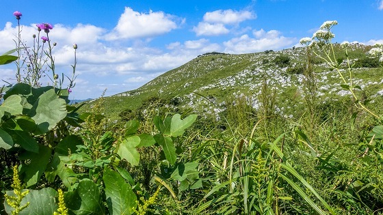 e0176993_11200326.jpg