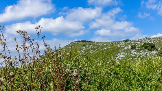 e0176993_11200359.jpg