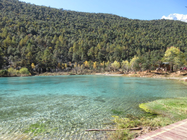 b0044296_23342783.jpg