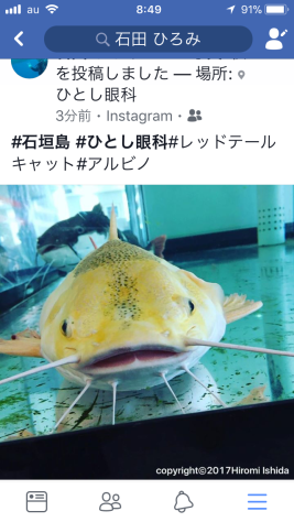 ウーパールーパーちゃいまっせ（笑）_c0146596_08524646.png