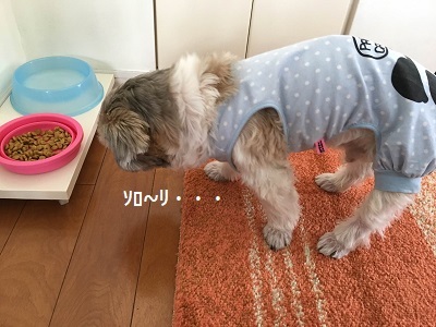 f0372998_18512479.jpg