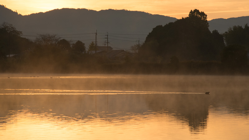 c0183700_2345631.jpg