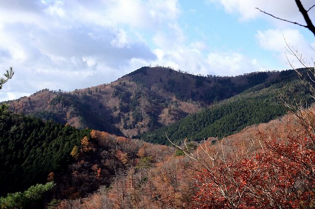 e0137200_12112560.jpg
