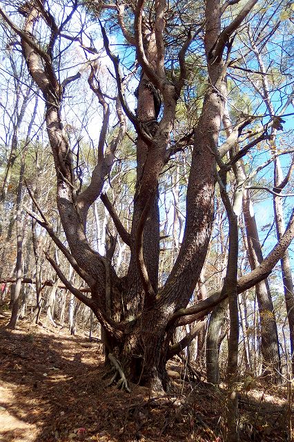 e0137200_1212210.jpg
