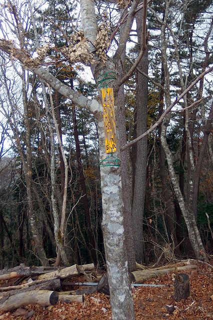 e0137200_12123859.jpg