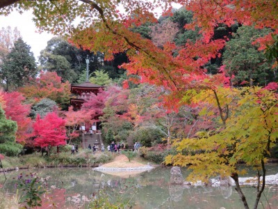 c0125501_16044968.jpg