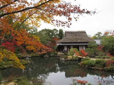 c0125501_16385835.jpg