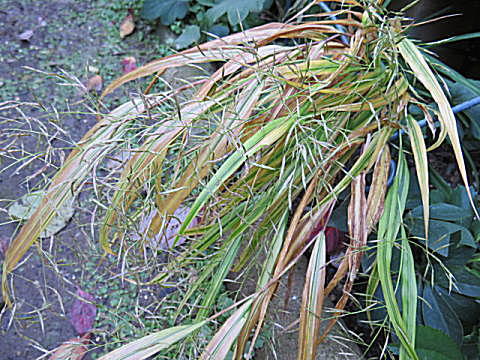 d0046702_23030515.jpg