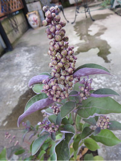 d0046702_23224144.jpg