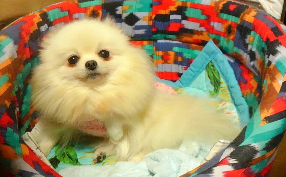 d0306603_04391563.jpg