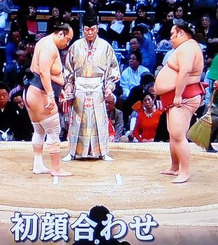 安美錦　大相撲九州場所　十四日目_b0044404_17253090.jpg