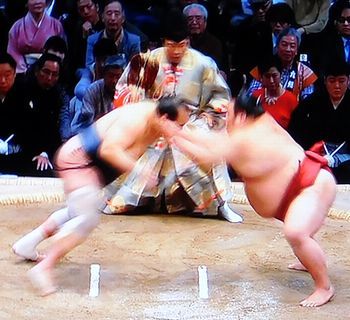 安美錦　大相撲九州場所　十四日目_b0044404_17303463.jpg