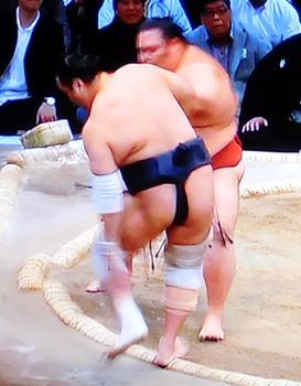 安美錦　大相撲九州場所　十四日目_b0044404_17323357.jpg