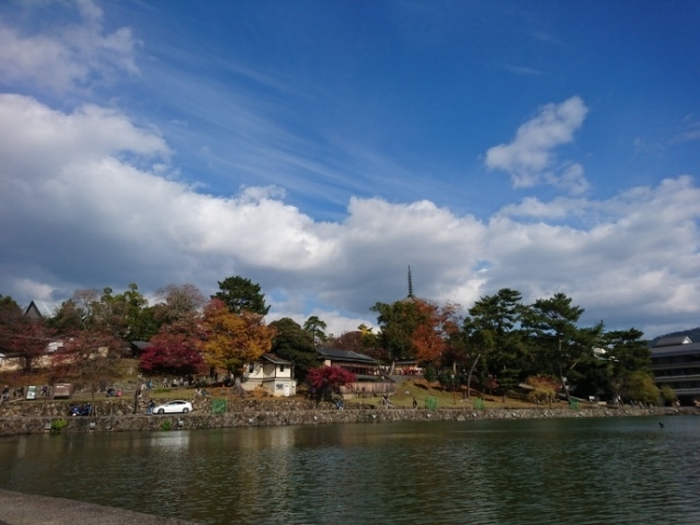 b0365305_08495508.jpg