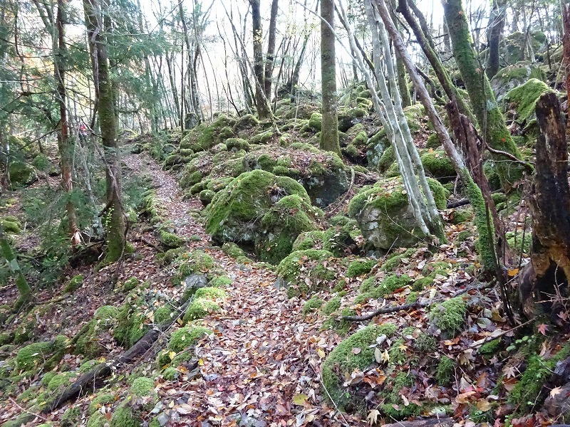 山犬嶽（やまいぬだけ）徳島県　苔の名所_b0124306_20254147.jpg