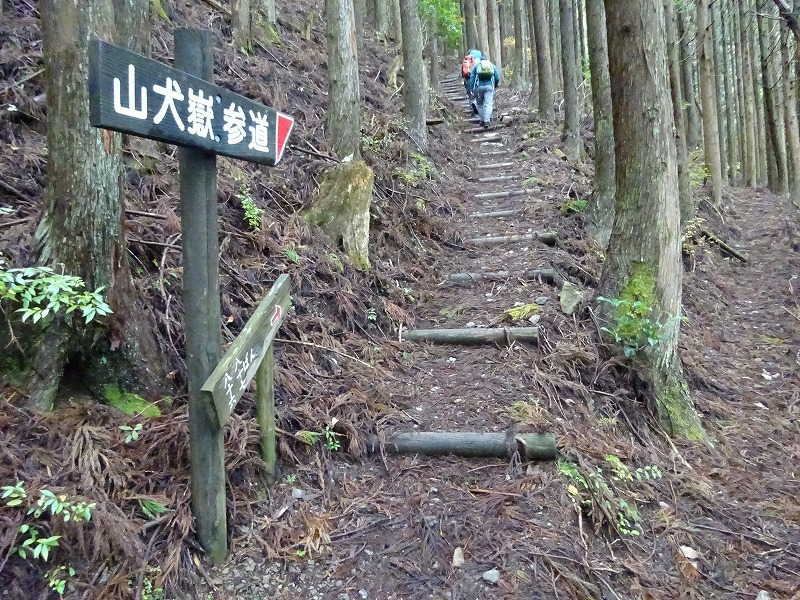 山犬嶽（やまいぬだけ）徳島県　苔の名所_b0124306_20261143.jpg