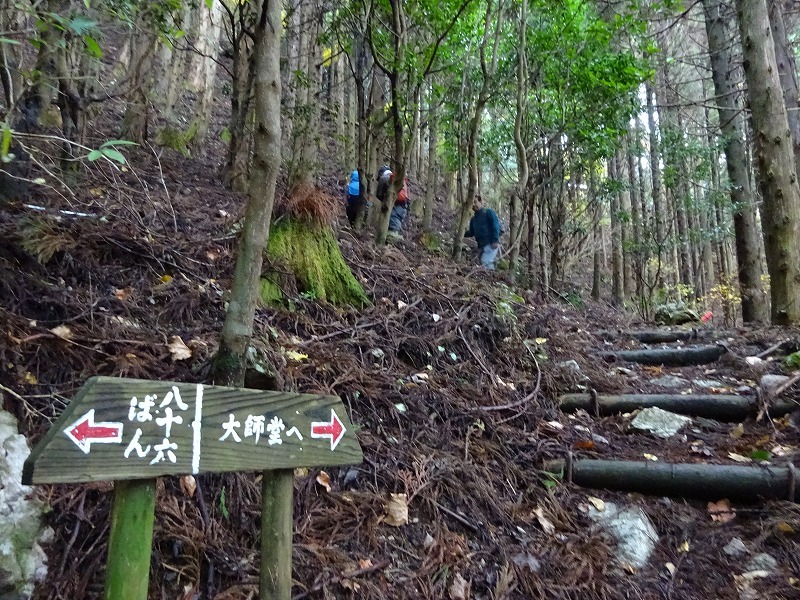 山犬嶽（やまいぬだけ）徳島県　苔の名所_b0124306_20282728.jpg